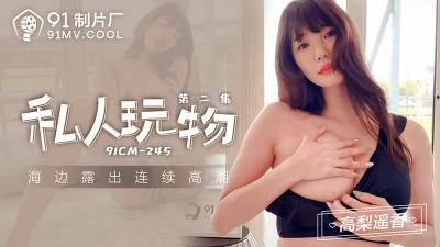 CM245私人玩物第二集高梨遥香.封面
