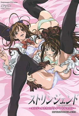 渐进曲天使们的私人课程2封面