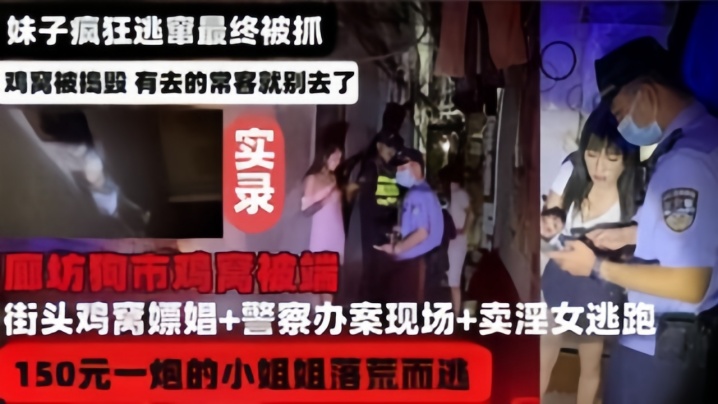 河北廊坊鸡窝被端实录妹子疯狂逃窜最终被捉.封面