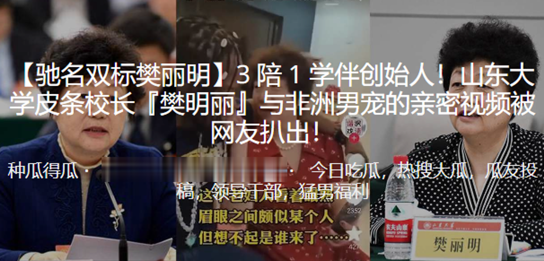 山东.大学皮.条校长樊明.丽与非洲.男宠的.亲密.视频被.曝光封面