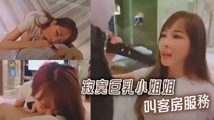 寂寞巨乳小姐姐叫客房服務.封面