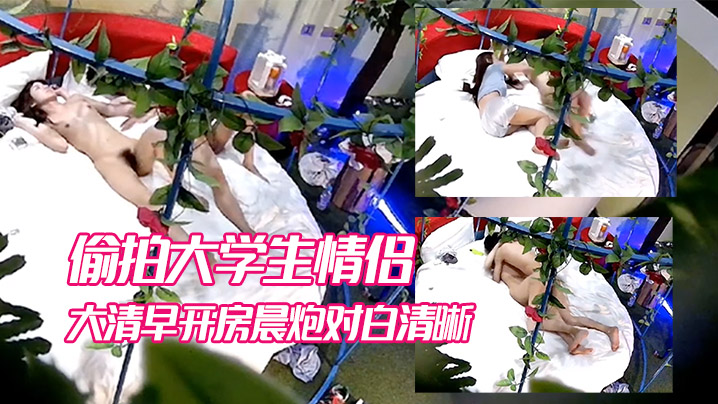 酒店偷拍出角度不错的情趣酒店浴缸摇篮床偷拍大学生.情侣大清早开房晨炮对白清晰封面